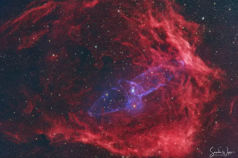 The Squid Nebula, a faint blue bipolar shape set inside a large red emission region